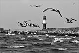 Produkt-Bild: Poster 100 x 70 cm - "Sturmflug der M&ouml;wen - Warnem&uuml;nde" von CAPTAIN SILVA - auch in anderen Gr&ouml;&szlig;en und als Leinwandbild erh&auml;ltlich