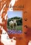Texas Longhorn Cookbook and Campfire Tales