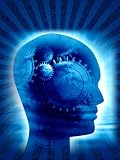 Produkt-Bild: The Law Of Attraction Tactics