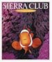 Cal 99 Sierra Club Oceans Calendar