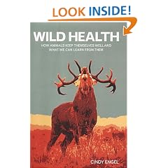 Wild Health: How animals keep themselves well and what we can learn from them
