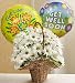 Flowers & Gifts - basket full of daisies w/get well mylar balloons - Medium