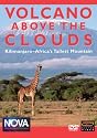 NOVA: Volcano Above the Clouds [DVD] [2003] [Region 1] [US Import] [NTSC]