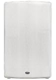 NHT Outdoor one 2 -Way Outdoor Loudspeaker