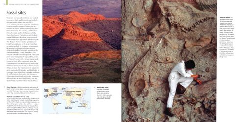 Rocks and Fossils: A Visual Guide (Visual Guides) under Rocks & Minerals in The Books Store