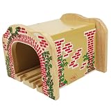 Bigjigs Double Track Tunnel For Wooden Railways