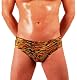 Exceptional  MENS NEW HOT TIGER PRINT BIKINI SWIMSUIT GARY MAJDELL SPORT Decide Now