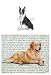 Boston Terrier Glass Cutting Board