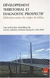 D&eacute;veloppement territorial et diagnostic prospectif : R&eacute;flexions autour du viaduc de Millau