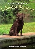 The Ultimate Labrador Retriever