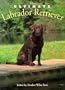The Ultimate Labrador Retriever