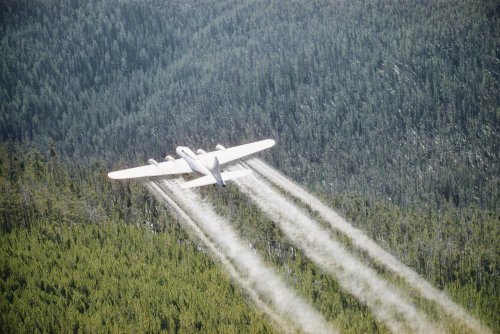 Us Forest Service Headquarters for Region 1 and Training Base for Famous Fire -fighting Smoke Jumpers Photographs Were Taken during a Graduation Jump for T He Class of 1955 Trainees There Were 54 Men in All Smoke Jumpers Jump Three at a Time on Sign Wall Mural - 24 Inches W x 16 Inches H - Peel and Stick Removable Graphic