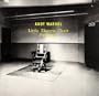 Andy Warhol: Little Electric Chair Paintings
