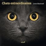 CHATS EXTRAORDINAIRES
