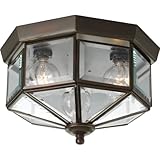 Progress Lighting P5788-20 Octagonal Close-To-Ceiling Fixture with Clear Bound Beveled Glass, Antiq