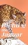 Bichu the Jaguar
