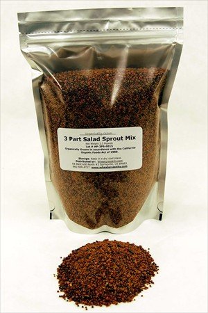 2.5 Lbs - 3 Part Salad Sprout Mix - Certified Organic Sprouting Seed: Radish, Broccoli,... by C & F Popcorn