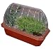 Search : Healing Garden Windowsill Greenhouse