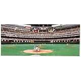 Good Sports Art Philadelphia Phillies Veterans Classic Masterpiece Lithograph