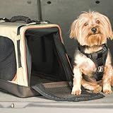Wander Pet Carrier - Frontgate