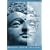 Buddhist Religions: A Historical Introduction (Religious Life in History)