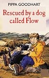 Rescued by a Dog Called Flow