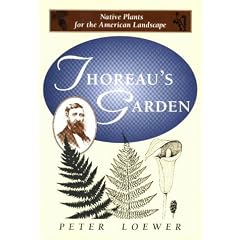 Thoreau's Garden: Native Plants for the American Landscape
