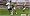 FIFA Soccer 09