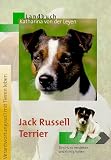 Jack Russell Terrier - Katharina von der Leyen