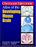 Chemoarchitectonic Atlas of the Developing Mouse Brain