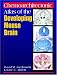 Chemoarchitectonic Atlas of the Developing Mouse Brain
