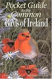 Pocket Guide To The Common Birds of Ireland