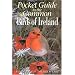Pocket Guide to the Commom Birds of Ireland