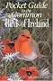 Pocket Guide to the Common Birds of Ireland