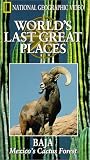 National Geographic's Baja - Mexico's Cactus Forest
