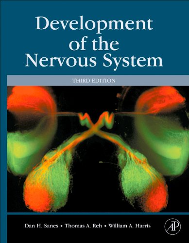 Development of the Nervous System