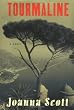 Tourmaline: A Novel