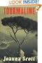 Tourmaline: A Novel