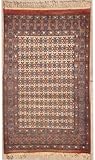 IMAGE OF 3'8 x 5'5 Caucasian Area Rug with Wool Pile | a 4x5 Rug | An Authentic Hand Knotted Caucasian Design Rug