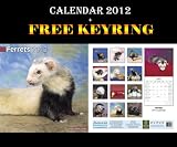 Ferrets Calendar 2012 + Free Keyring