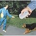 Click to Enlarge Image 51BQtxBWjpL. SL75 Dog Dazer