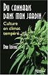 Du cannabis dans mon jardin
