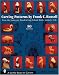 Carving Patterns: From the Stonegate Woodcarving School - Birds, Animals, Fish (Schiffer Book for Carvers)