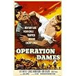 Operation Dames - Movie Poster