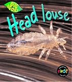 Head louse