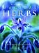 Book The Book of Magical Herbs: Herbal History, Mystery, & Folklore