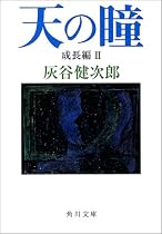 天の瞳 成長編〈2〉 (角川文庫)