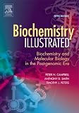 Biochemistry Illustrated: Biochemistry and Molecular Biology in the Post-Genomic Era