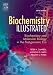 Biochemistry Illustrated: Biochemistry and Molecular Biology in the Post-Genomic Era