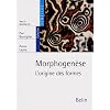 Morphogen�se : L'origine des formes